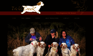 Tricklecreekclumberspaniels.com thumbnail