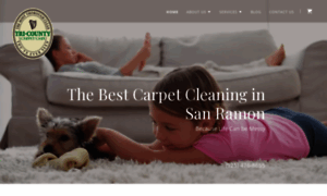 Tricountycarpetcare.com thumbnail