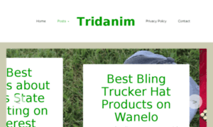 Tridanim.com thumbnail