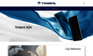 Trident.com.tr thumbnail