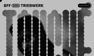 Triebwerk.bff.de thumbnail