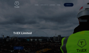 Triex-uk.com thumbnail