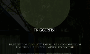 Triggerfish.co.uk thumbnail