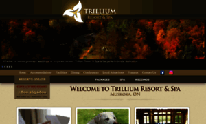 Trilliumresort.com thumbnail