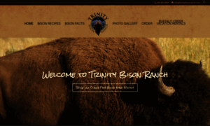 Trinitybisonranch.com thumbnail