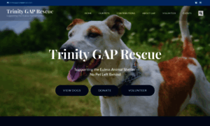 Trinitygaprescue.org thumbnail