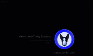 Trinitysystems.co.za thumbnail