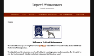 Tripawdweims.wordpress.com thumbnail