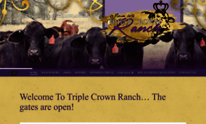 Triplecrownranch.net thumbnail