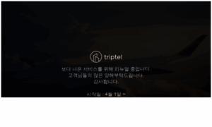 Triptel.co.kr thumbnail