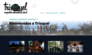 Trisquelinternationalschool.com thumbnail