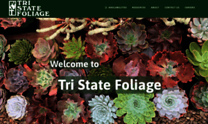 Tristatefoliage.com thumbnail