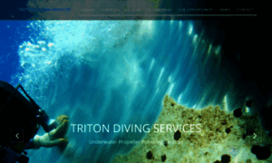 Tritondivingservices.com thumbnail