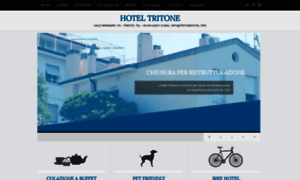 Tritonehotel.org thumbnail