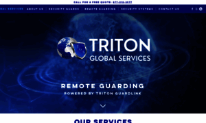 Tritonglobalservices.com thumbnail