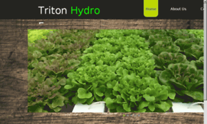 Tritonhydrofarmandgreenhouse.com thumbnail