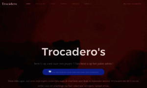 Trocaderos.be thumbnail
