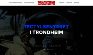 Trondheimantirust.no thumbnail