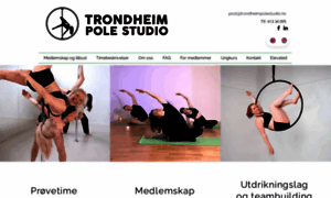 Trondheimpolestudio.no thumbnail