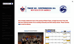 Troop100.org thumbnail