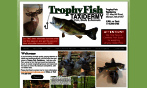 Trophyfishtaxidermy.net thumbnail