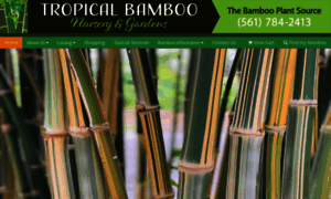 Tropicalbamboo.com thumbnail