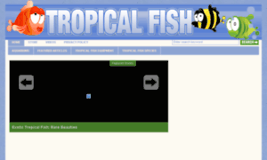 Tropicalfishcare.info thumbnail