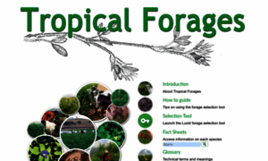 Tropicalforages.info thumbnail