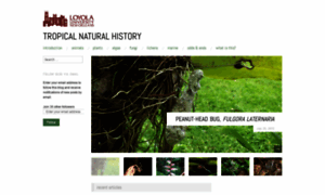 Tropicalnaturalhistory.org thumbnail