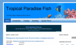 Tropicalparadisefish.com thumbnail