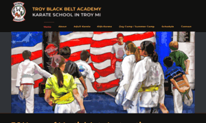 Troyblackbeltacademy.com thumbnail