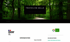 Troyesenselle.fr thumbnail