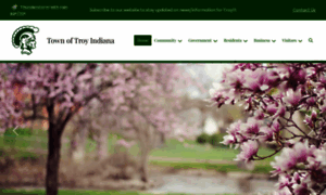 Troyindiana.com thumbnail