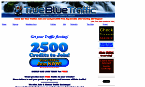 True-bluetraffic.net thumbnail