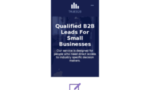 Trueb2bleads.com thumbnail