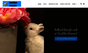 Truebluebunnies.com thumbnail