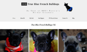 Truebluefrenchbulldogs.co.uk thumbnail