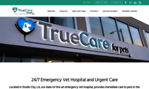 Truecare.com thumbnail