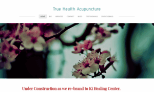 Truehealthacupuncture.com thumbnail