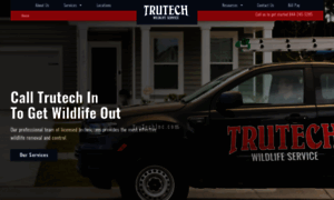 Trutechinc.com thumbnail