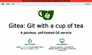 Try.gitea.io thumbnail