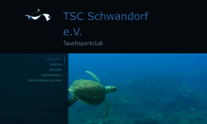 Tsc-schwandorf.de thumbnail