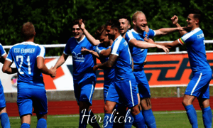 Tsg-ehingen-fussball.de thumbnail