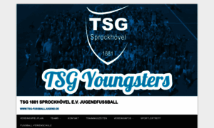 Tsg-fussballjugend.de thumbnail