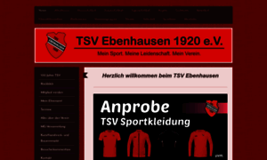 Tsv-ebenhausen.net thumbnail