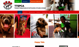 Ttspca.org thumbnail