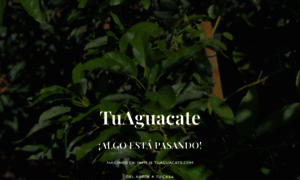 Tuaguacate.com thumbnail