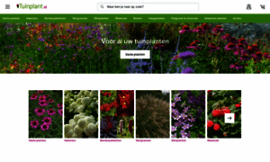 Tuinplant.nl thumbnail