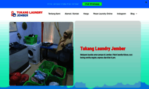 Tukanglaundry.com thumbnail