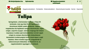 Tulipakert.hu thumbnail